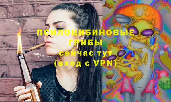 a pvp Шадринск