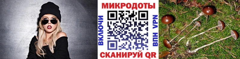 Галлюциногенные грибы MAGIC MUSHROOMS  купить наркоту  Касли 